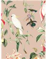 WALLPAPER - BIRDS OF PARADISE - PEACH BLUSH