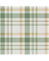 Plaid Green 1906-5