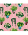 Houseplant Bubblegum GRA50109W