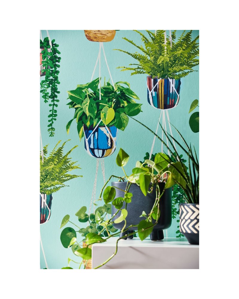 Houseplant Cerulean Twist GRA50108W