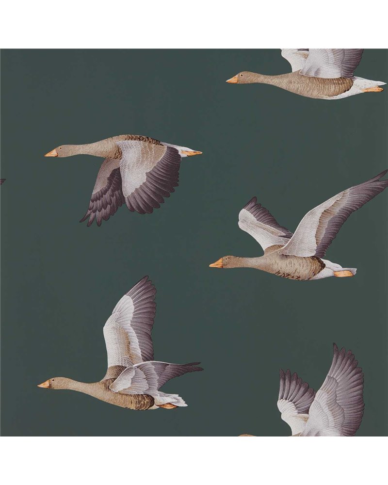 Elysian Geese Amsterdam Green DYSI216608