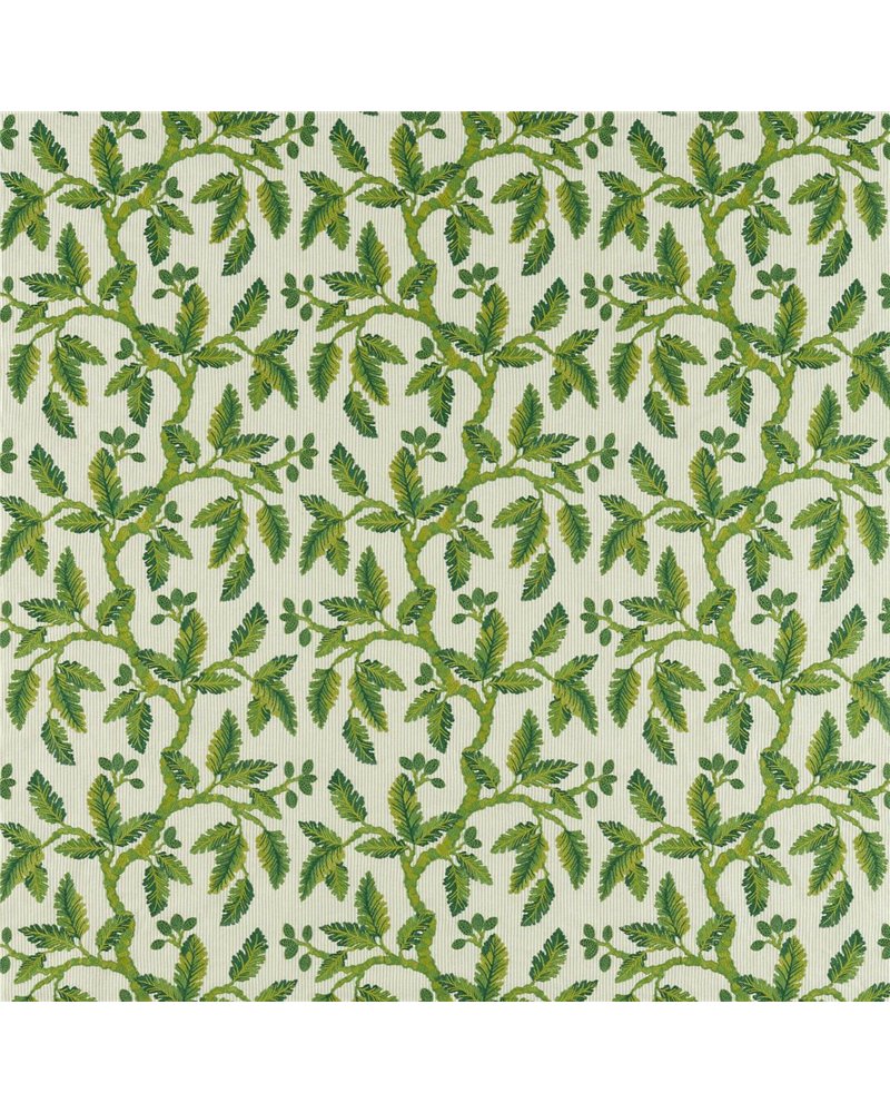 Oaknut Stripe Botanical Green DARF237321