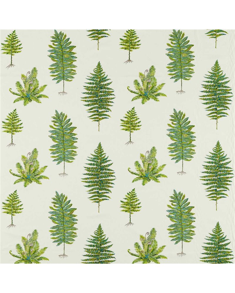 Fernery Embroidery Botanical Green DARF237319