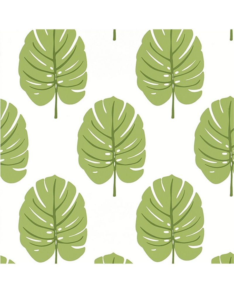 Monstera Apple Green T13955