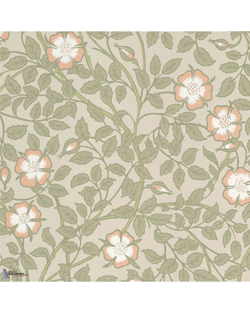 Briar Rose Green Mist 0263BRGMIST