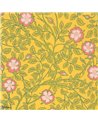 Briar Rose Indian Yellow 0263BRINDIA