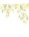 Mimose Bouton D Or S 89172205