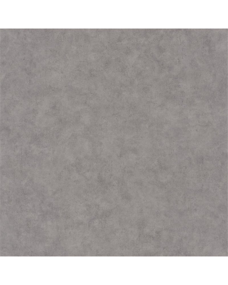 Beton Uni Gris Beton Brut 101489600