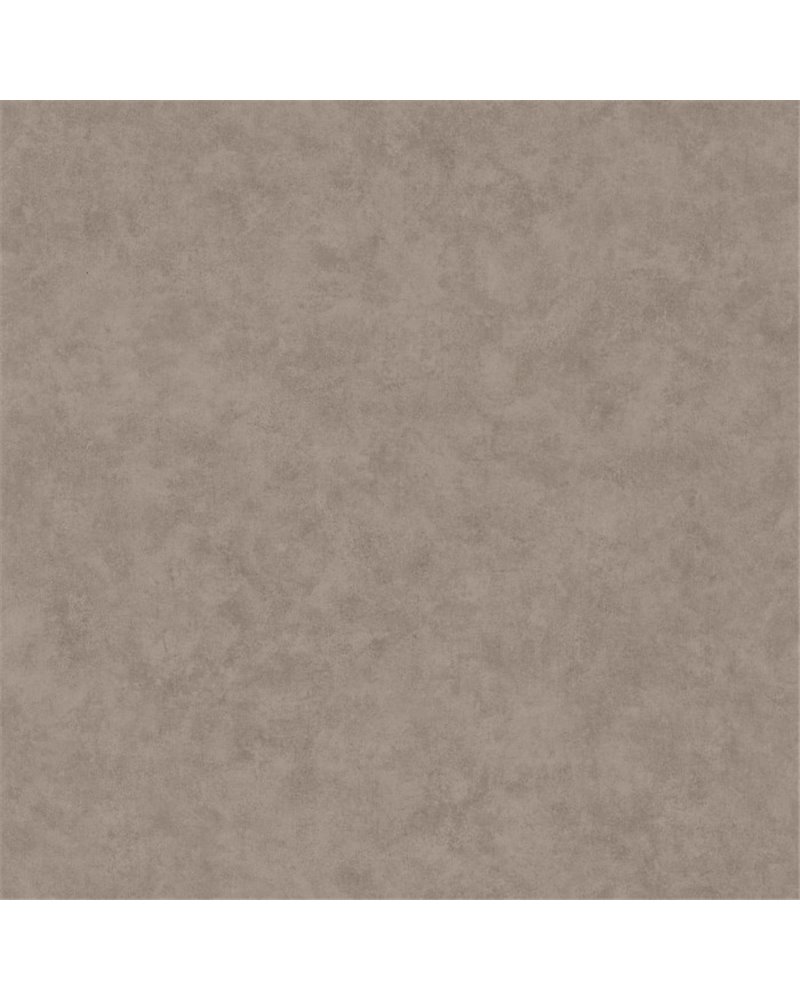 Beton Uni Taupe Gris Fonce 101481899