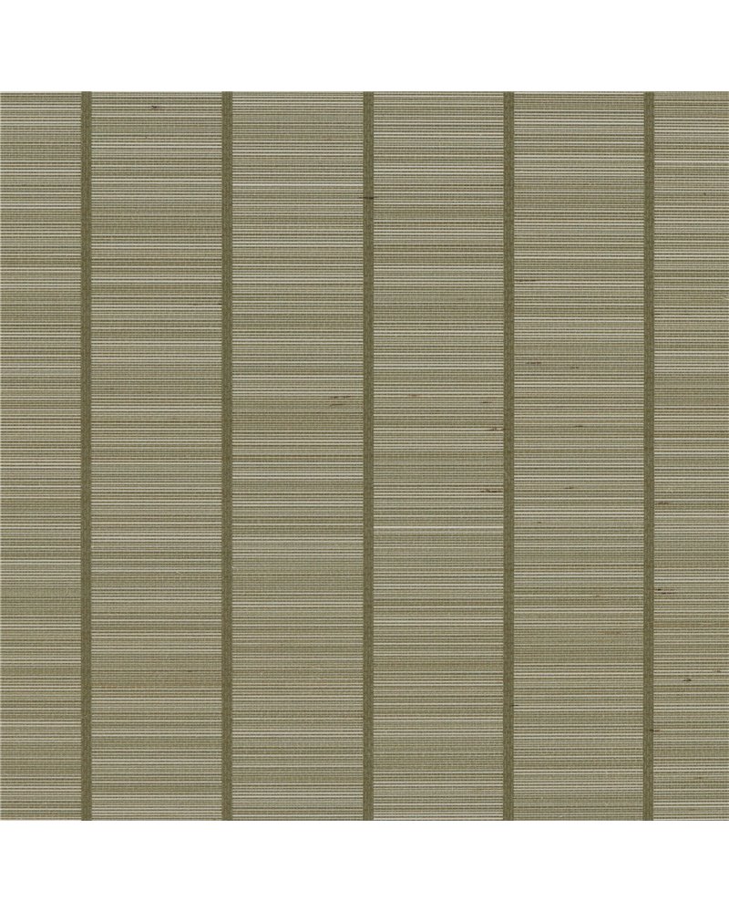 ASTRATTO STRIPE MUSCHIO AWL1014 003.jpeg