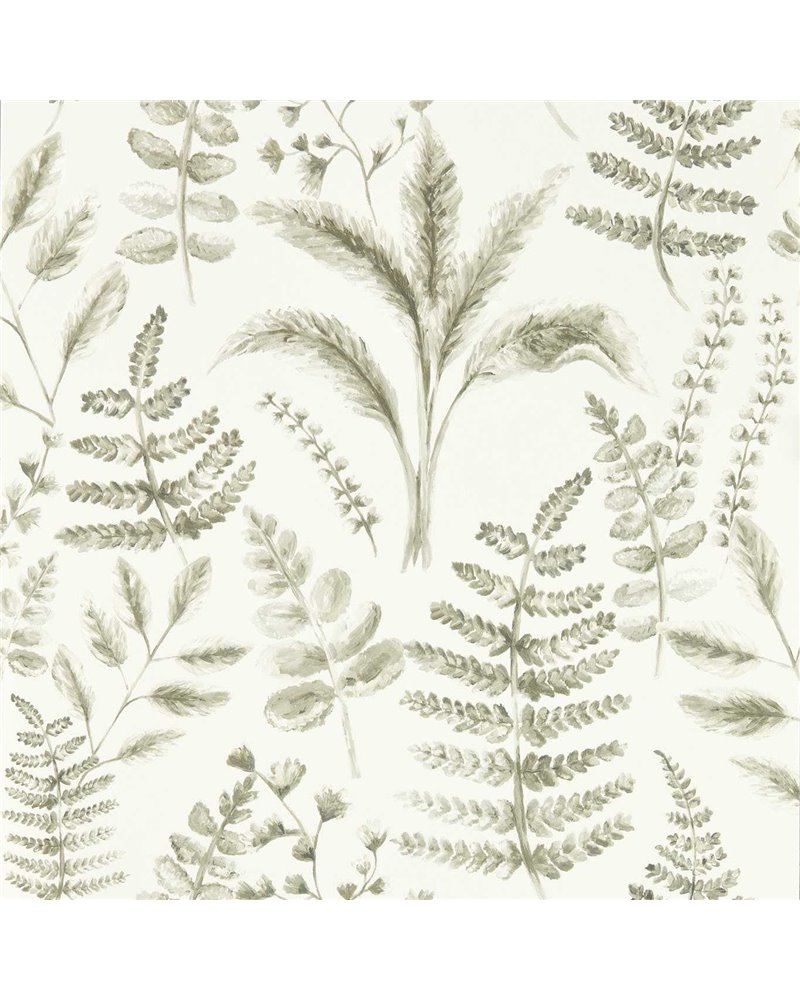 Bracken Natural W0156-03