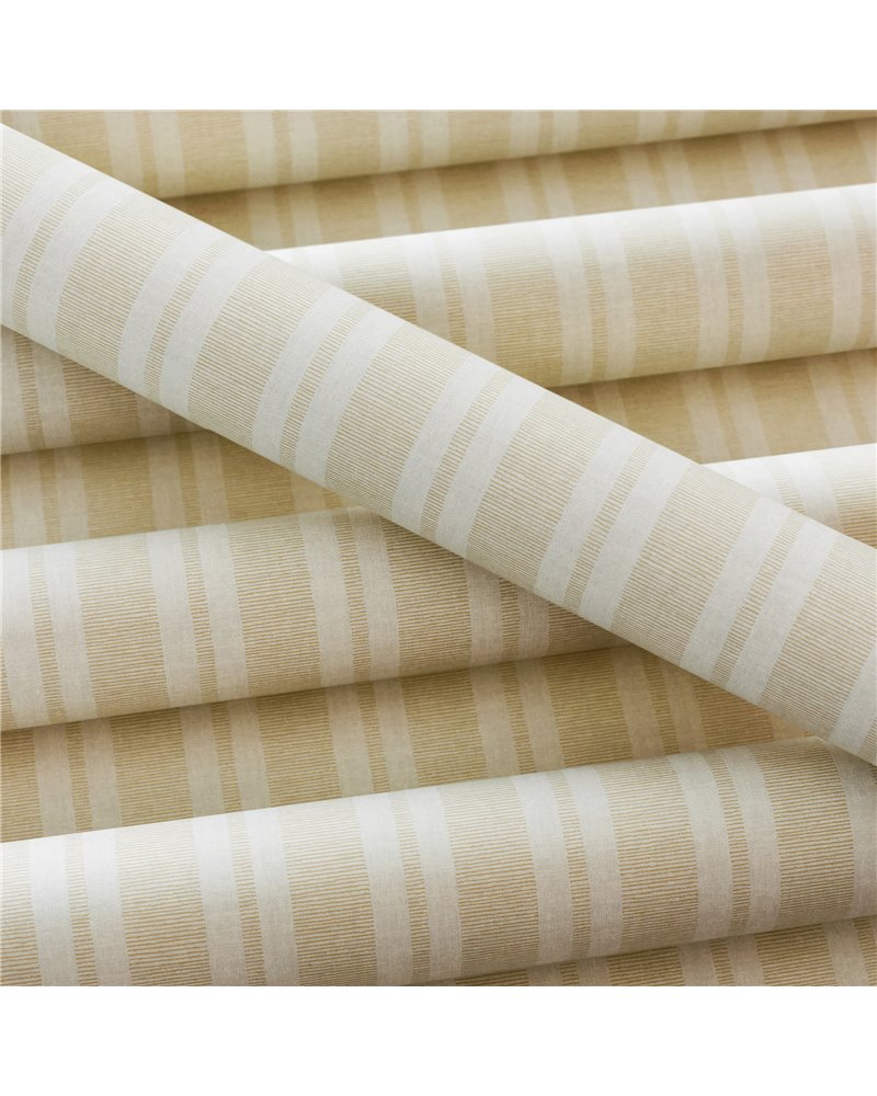 Ryland Stripe Soft Gold AT24593