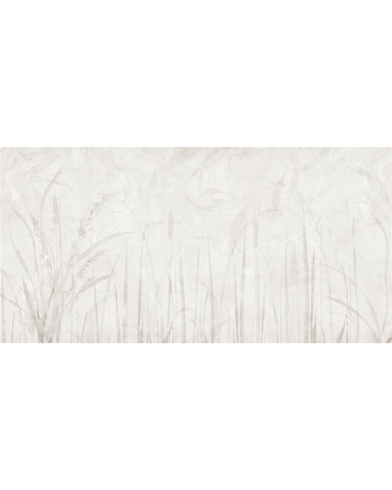 IVORY-AP011-1