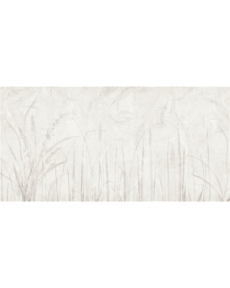 IVORY-AP011-1