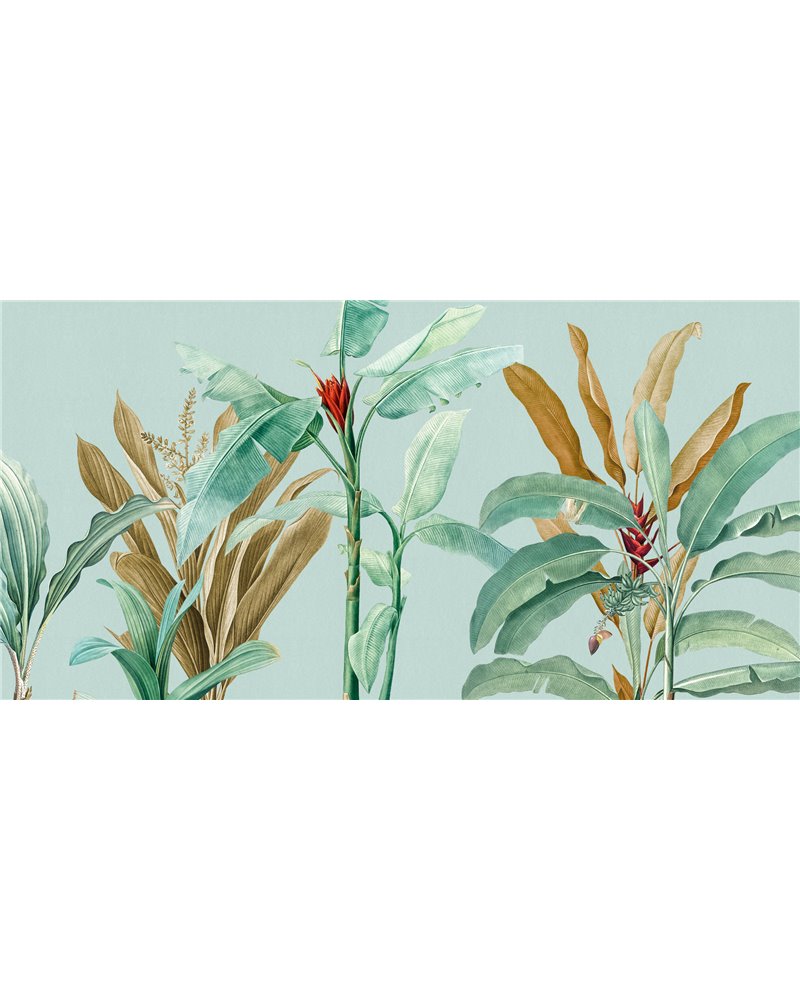 TROPICAL-VE104-2