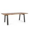 ARON TABLE 200X95