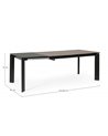 TABLE EXT BRIVA GRIS-NOIR 160-220X90