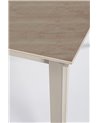 EXT TABLE BRIVA GRAY-VISON 160-220X90