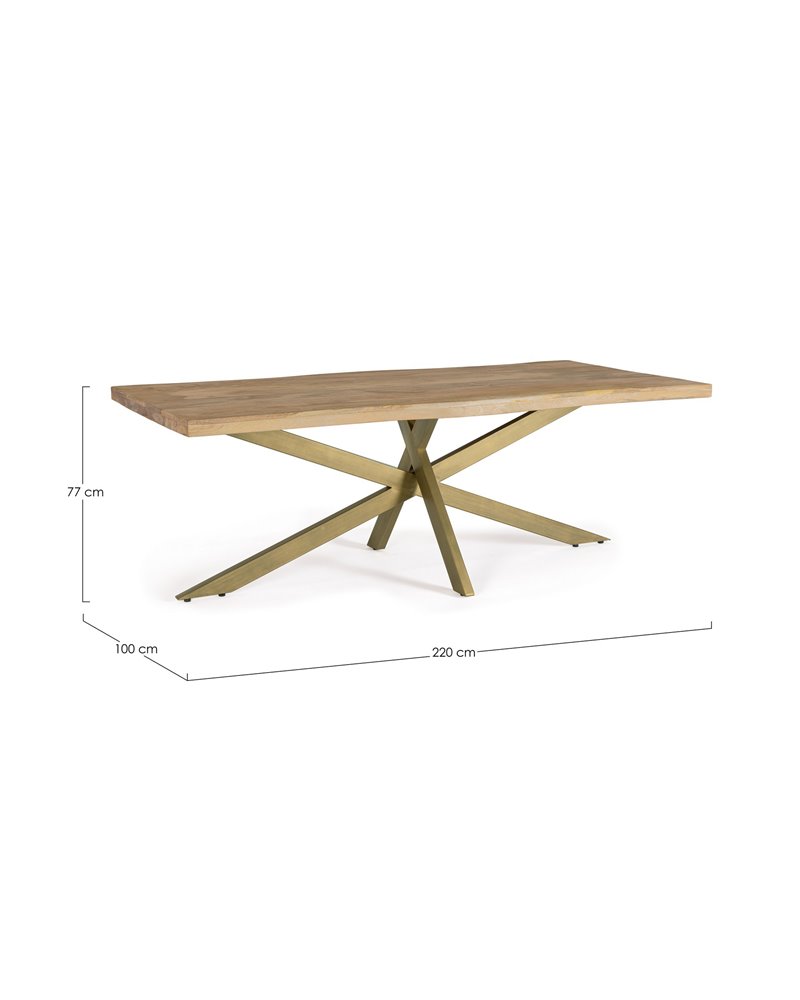 JAIDEV TABLE 220X100