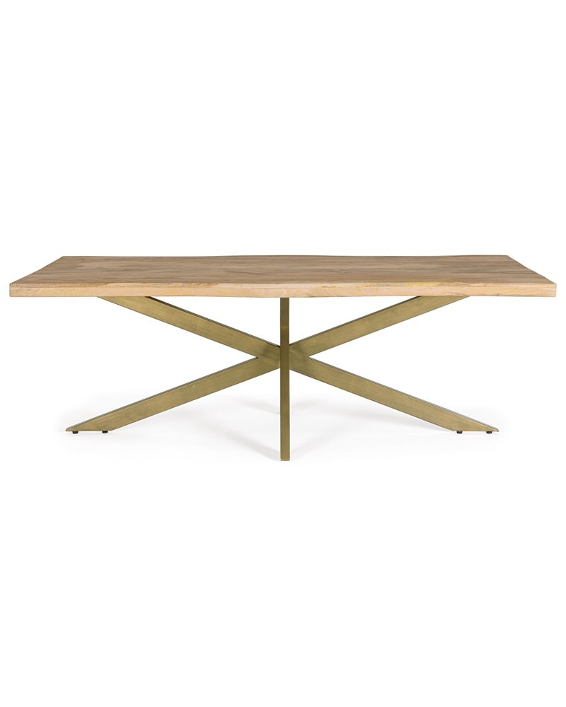 JAIDEV TABLE 220X100