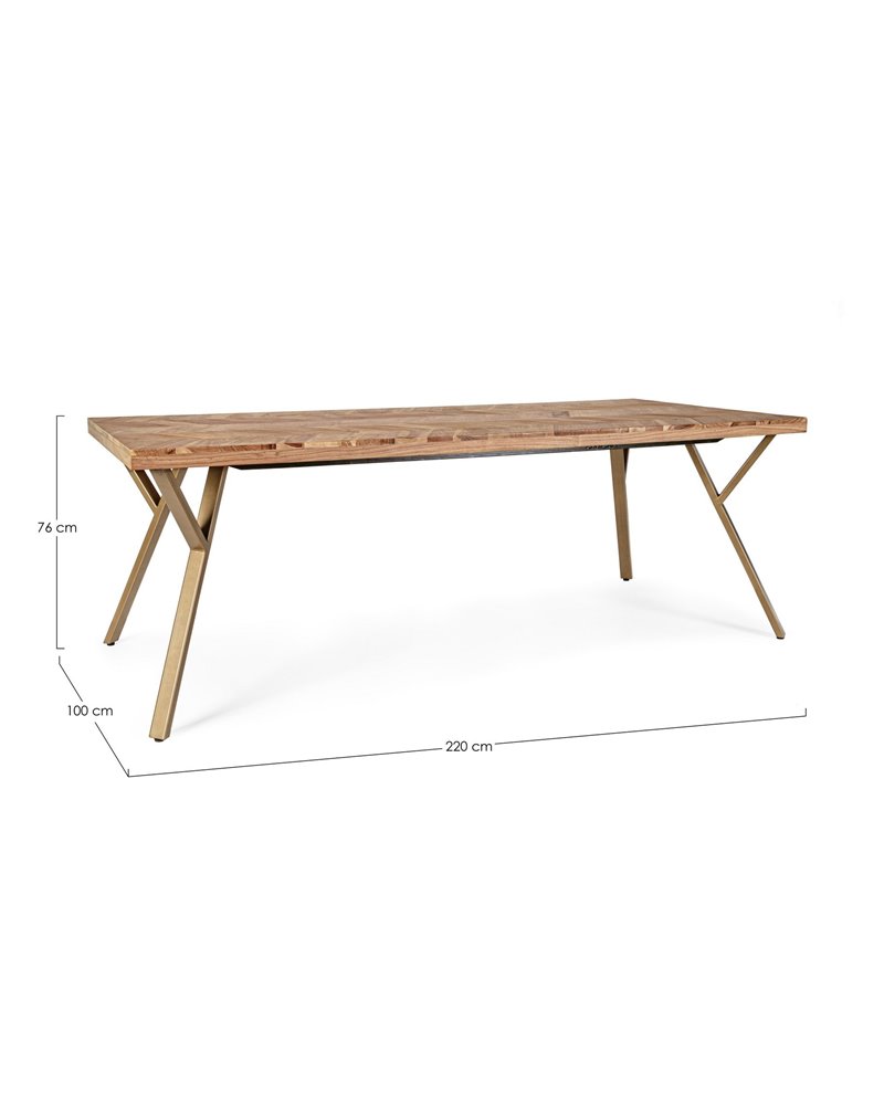 RAIDA TABLE 220X100