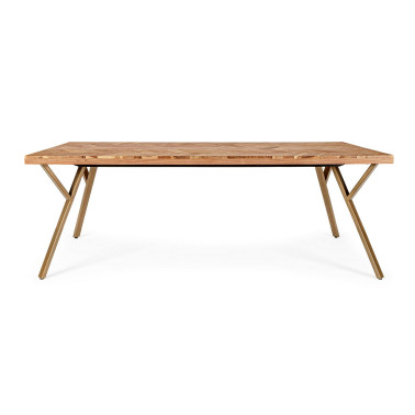 RAIDA TABLE 220X100