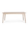 SAHANA TABLE 173X90