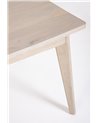 SAHANA TABLE 173X90