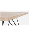 TABLE DE QUARTIER 200X90