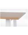 FRED TABLE WHITE 180X90