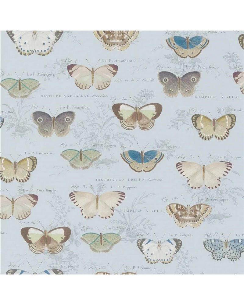 Butterfly Studies Cloud Blue PJD6017-02