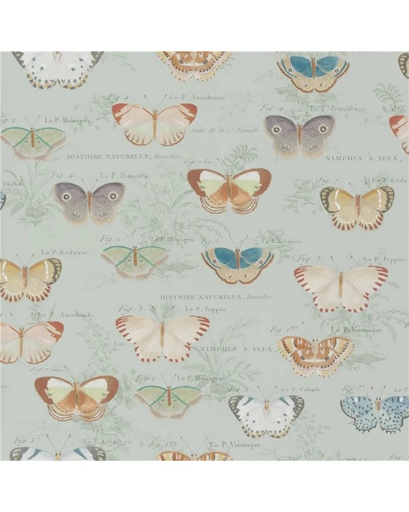 Butterfly Studies Eau de Nil PJD6017-03