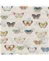 Butterfly Studies Parchment PJD6017-01