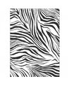 Zebra Blanc Noir 104960903