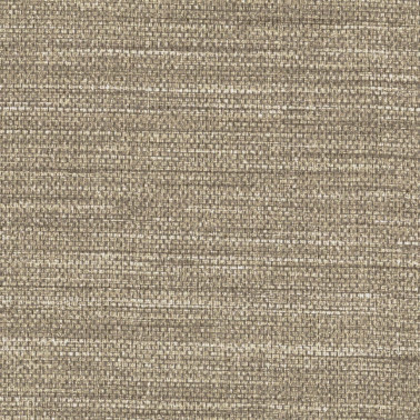 RAMIE WOVEN 8221-08 .jpg