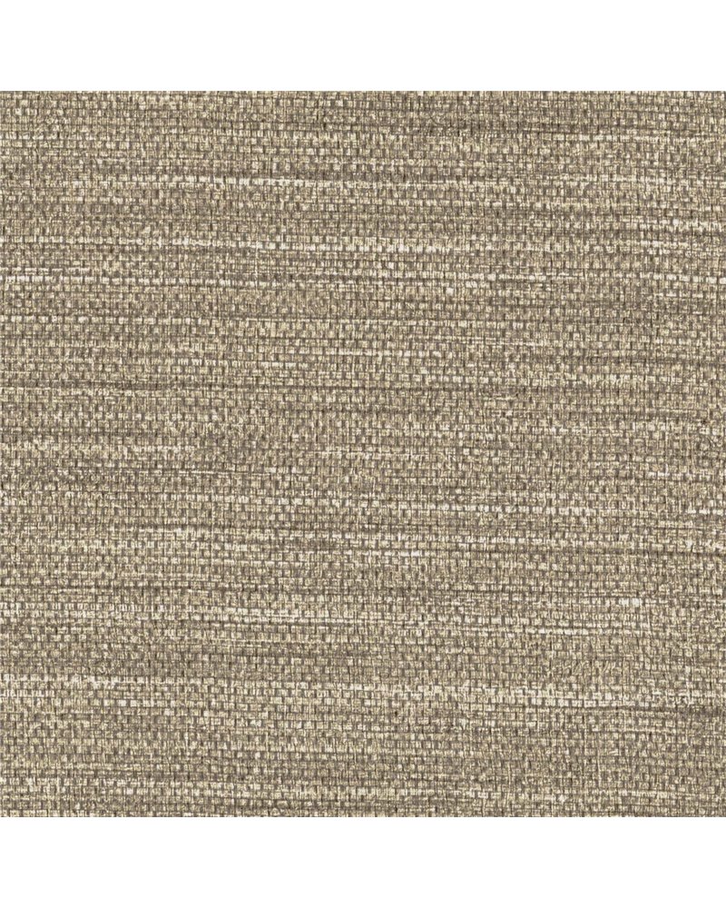 RAMIE WOVEN 8221-08 .jpg