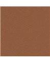 DESERT SAND 5821-61