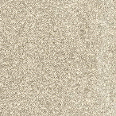 TIBURON SHAGREEN U421-15.jpg