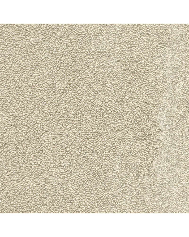 TIBURON SHAGREEN U421-15.jpg