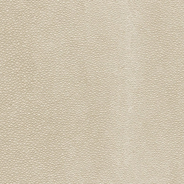 TIBURON SHAGREEN U421-17.jpg