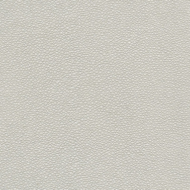 TIBURON SHAGREEN U421-18.jpg