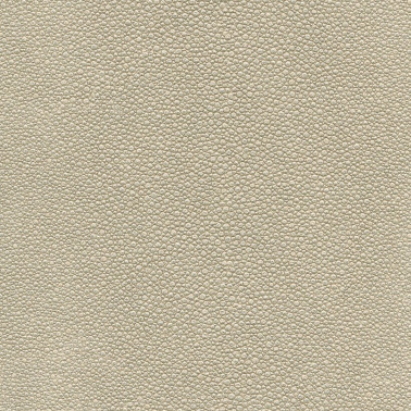 TIBURON SHAGREEN U421-32.jpg