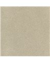 TIBURON SHAGREEN U421-32.jpg