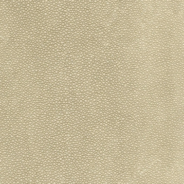 TIBURON SHAGREEN U421-37.jpg