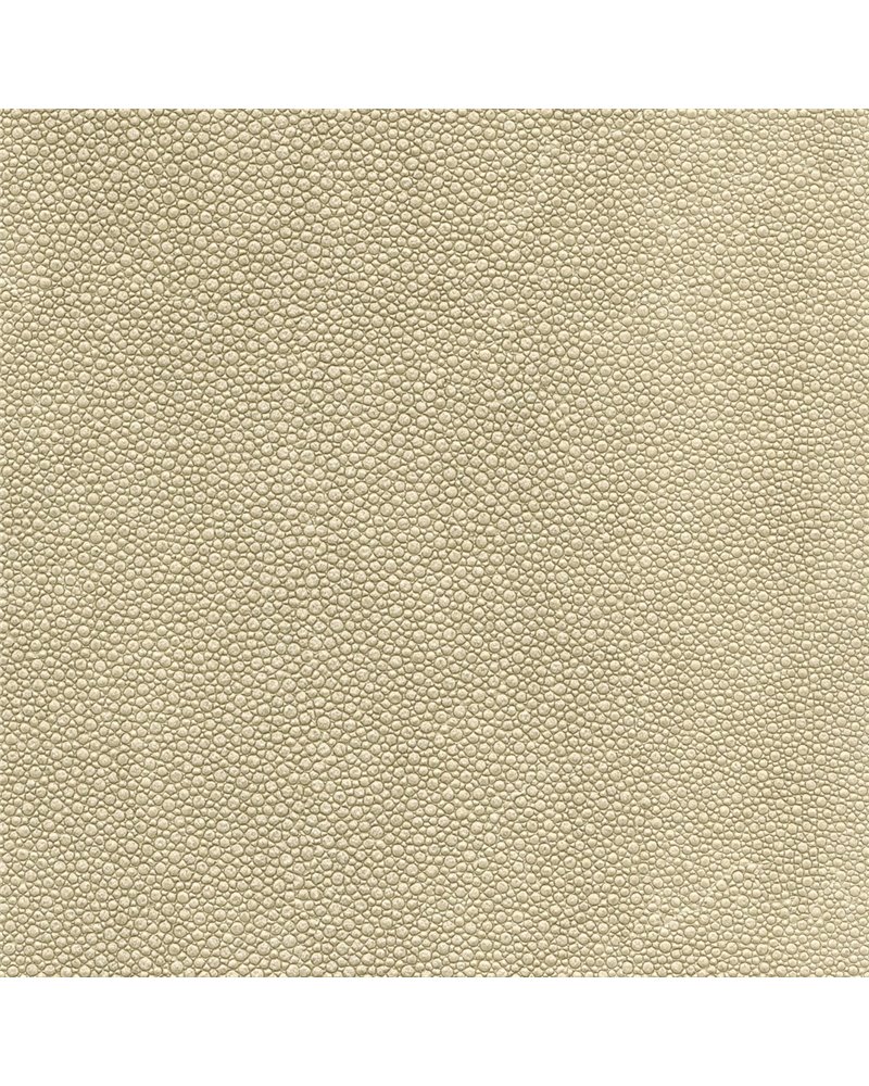 TIBURON SHAGREEN U421-37.jpg