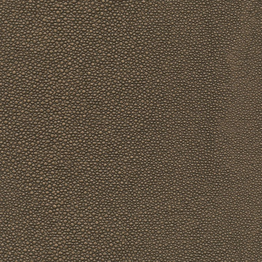 TIBURON SHAGREEN U421-59.jpg