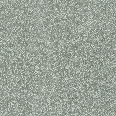 TIBURON SHAGREEN U421-70.jpg