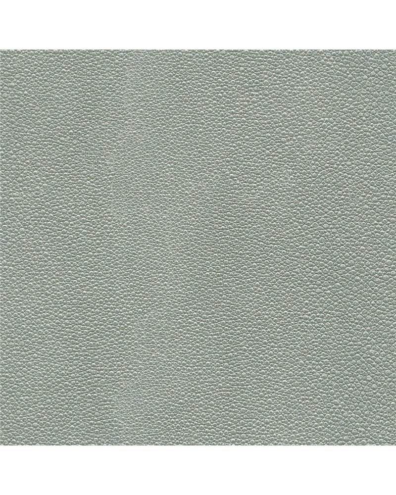 TIBURON SHAGREEN U421-70.jpg