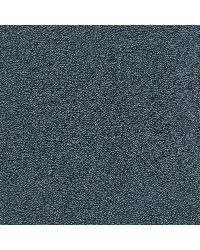 TIBURON SHAGREEN U421-79.jpg