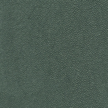 TIBURON SHAGREEN U421-89.jpg